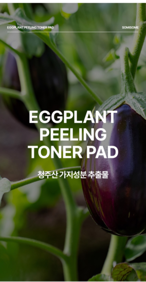 SOMISOME Eggplant Peeling Toner Pads 50 Pads / 140 g - Image 10