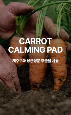 SOMISOME Carrot Calming Pads 40 Pads / 195 g - Image 10